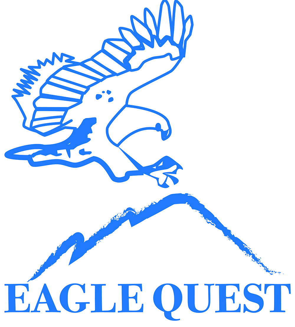 Eagle Quest